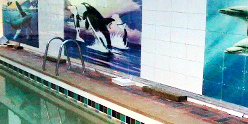 Mural_Water_Fountain_Residential_11